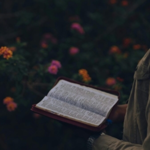 A close-up of a person holding an open book amidst vibrant flowers outdoors.
