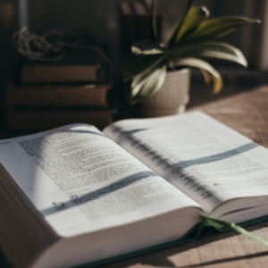 an open book sitting on top of a bed next to a potted plant