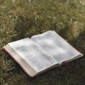an open book sitting on top of a lush green field