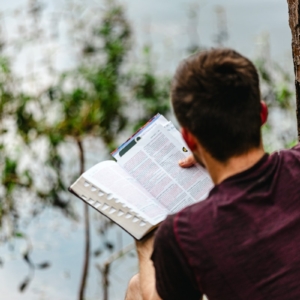 A man sitting on the ground reading a book
