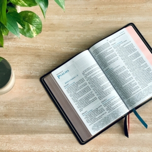 opened book on brown wooden table